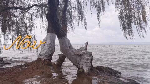 五百里滇池奔来眼底 披襟岸帻 喜茫茫空阔无边 哔哩哔哩
