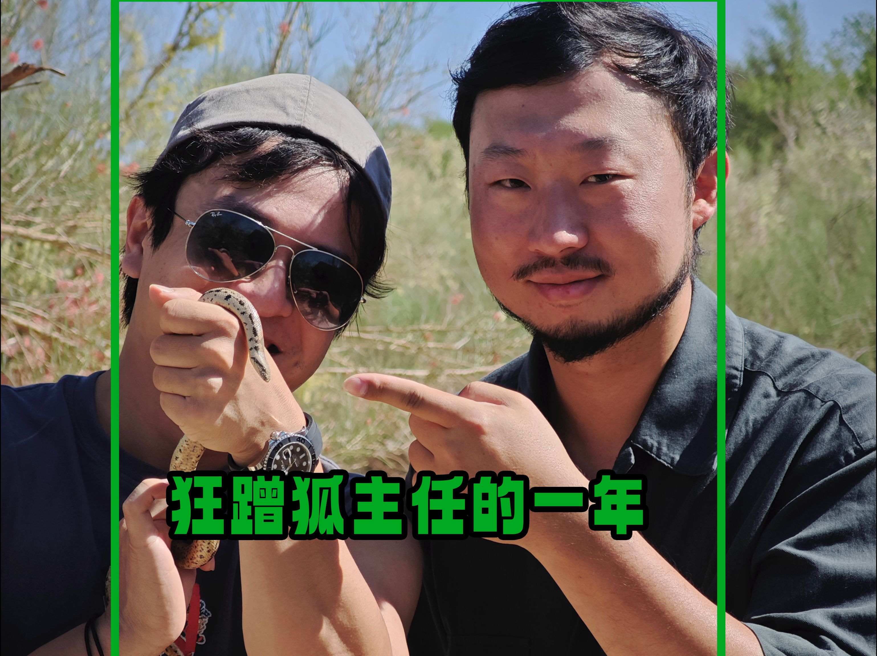 今年是疯狂蹭无穷小亮的一年