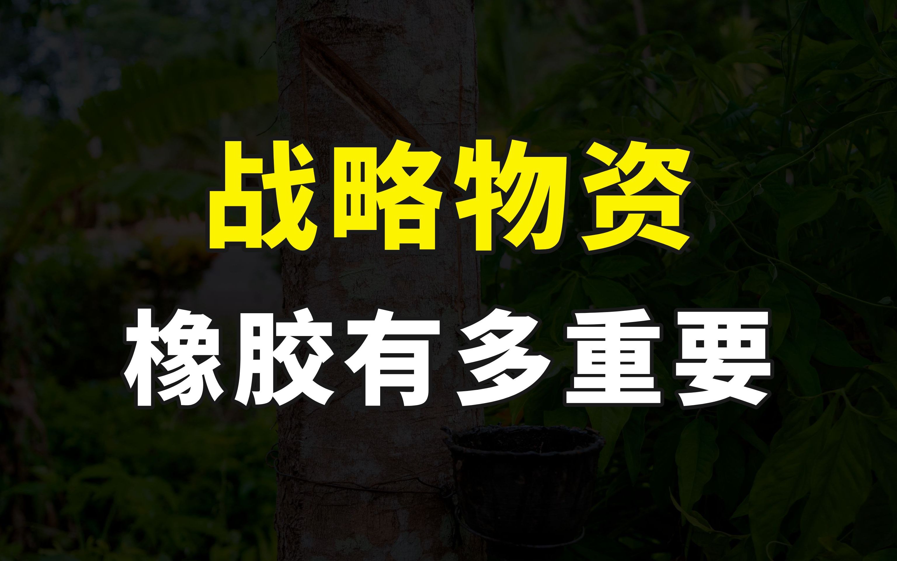 日本突然开始囤积天然橡胶,这波操作是何用意?橡胶到底有多重要哔哩哔哩bilibili