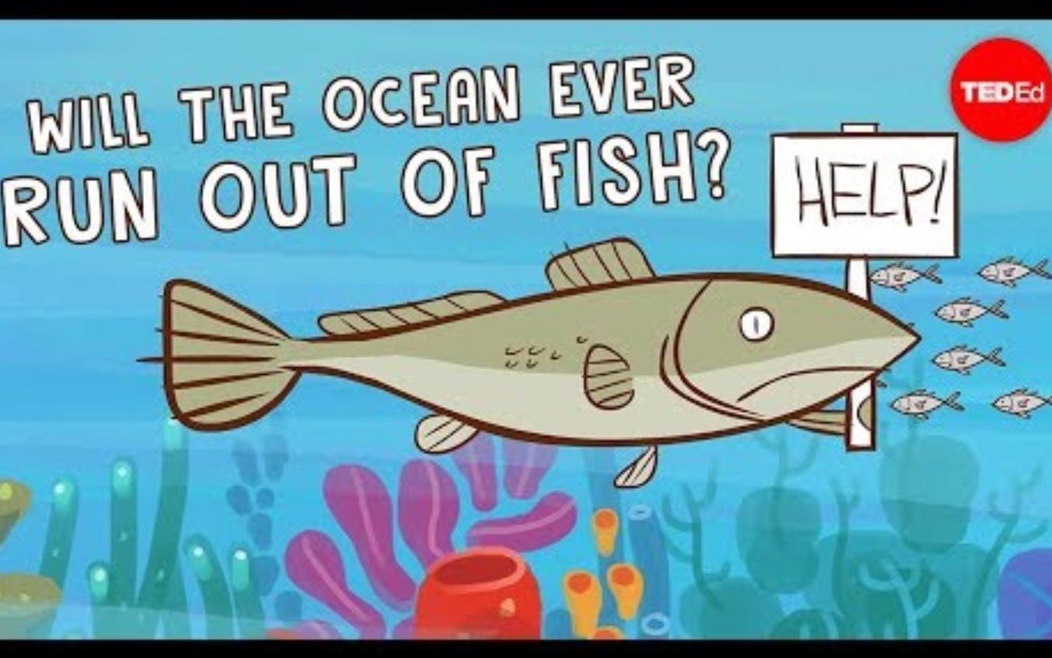 【ted-ed】海洋中的鱼类会绝迹吗 will the ocean ever run out of