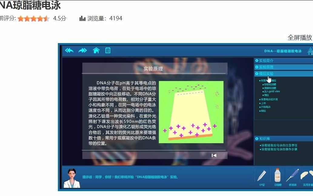 DNA琼脂糖电泳哔哩哔哩bilibili