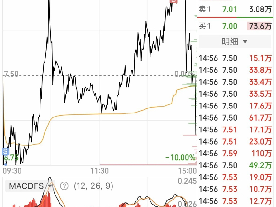 今天下午的正虹不一样!哔哩哔哩bilibili