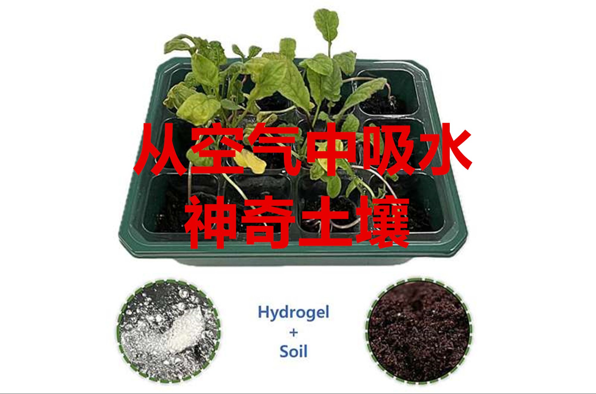 《今日科学》神奇的"智能土壤":能自己浇水和施肥