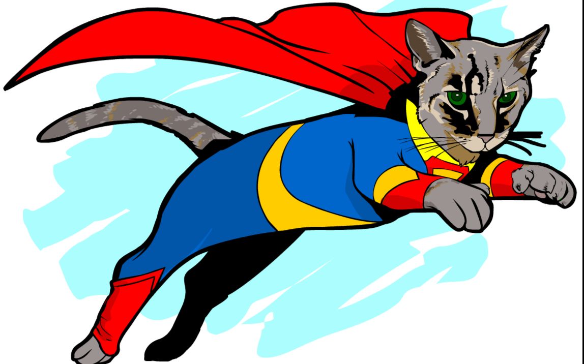 猫超人从恶犬口中救下小主人! 用或其他应用扫描二维码 硬