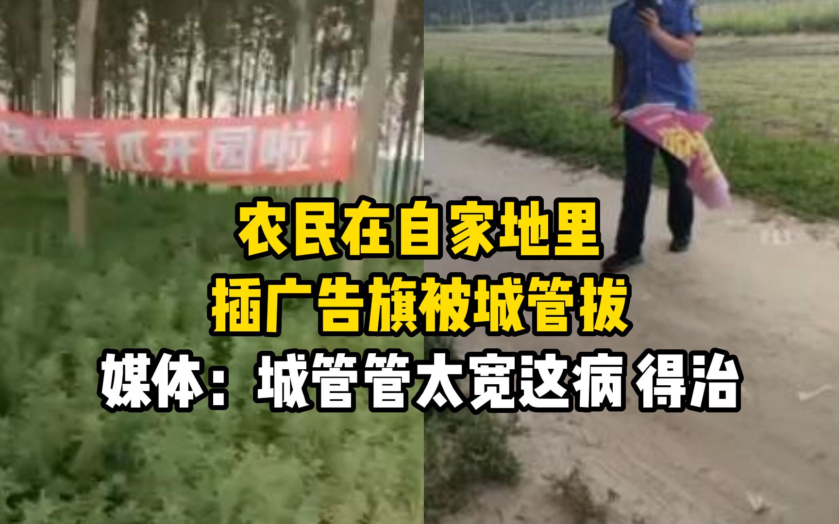 农民在自家地里插广告旗被城管拔 媒体:城管管得太宽这病,得治哔哩哔哩bilibili