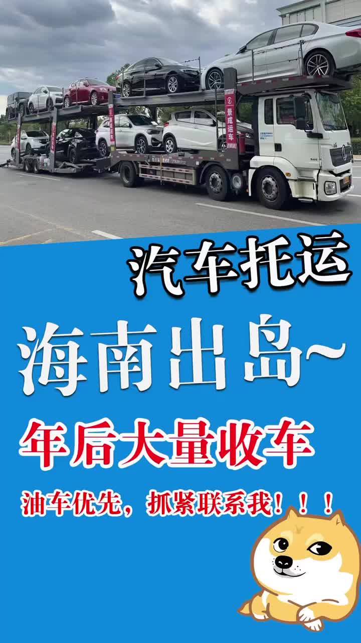 海南出岛,年后大量收车托运,油车优先安排哔哩哔哩bilibili