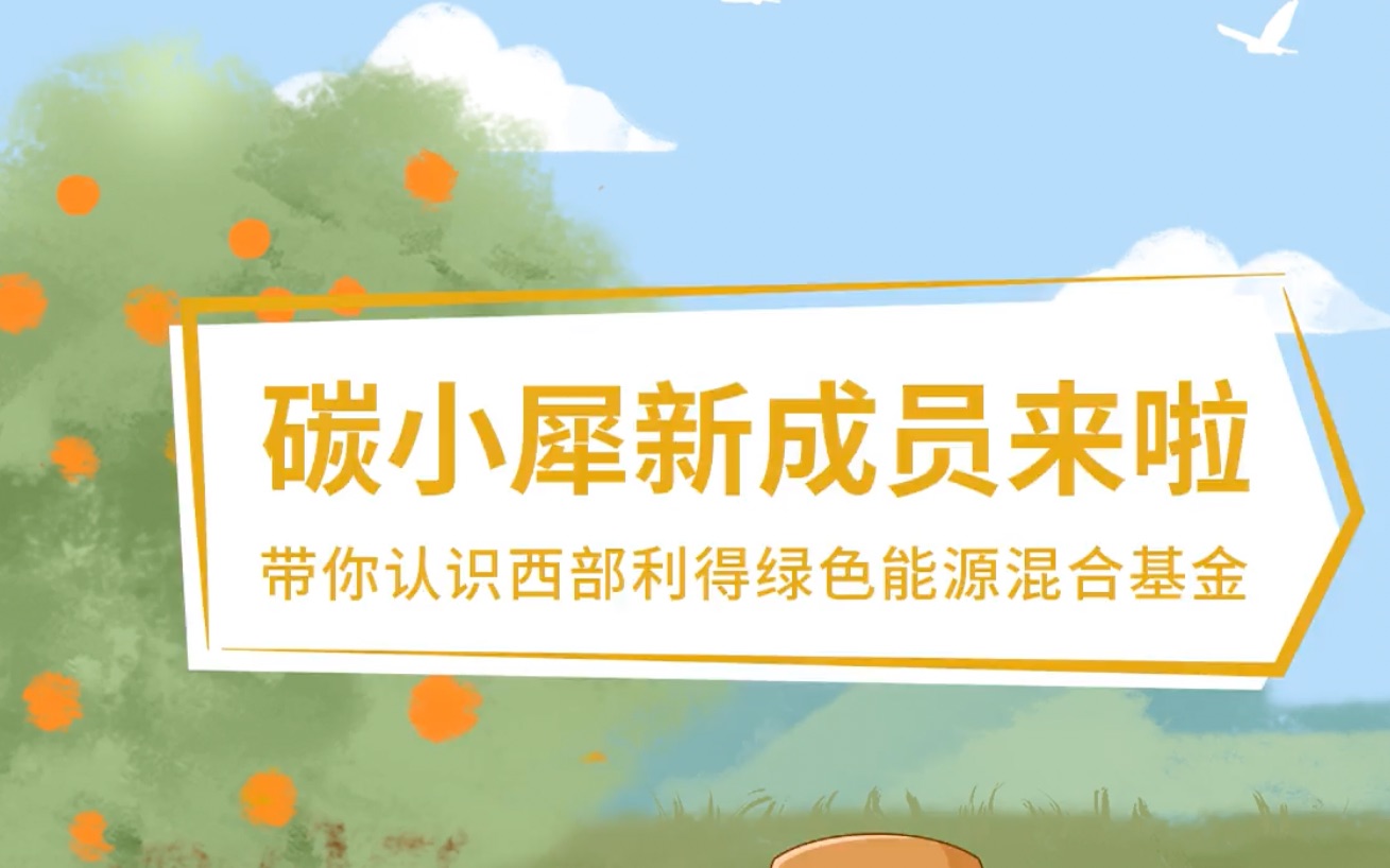 碳小犀携手拟任基金经理陈保国介绍新成员:西部利得绿色能源混合哔哩哔哩bilibili