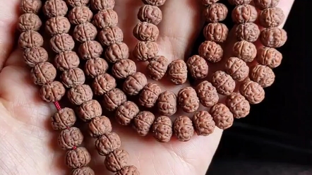 玄红纯血老树王小金刚佛珠