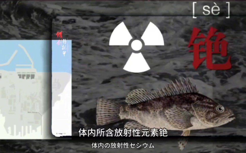 日本核废水排海,警惕物种突变!
