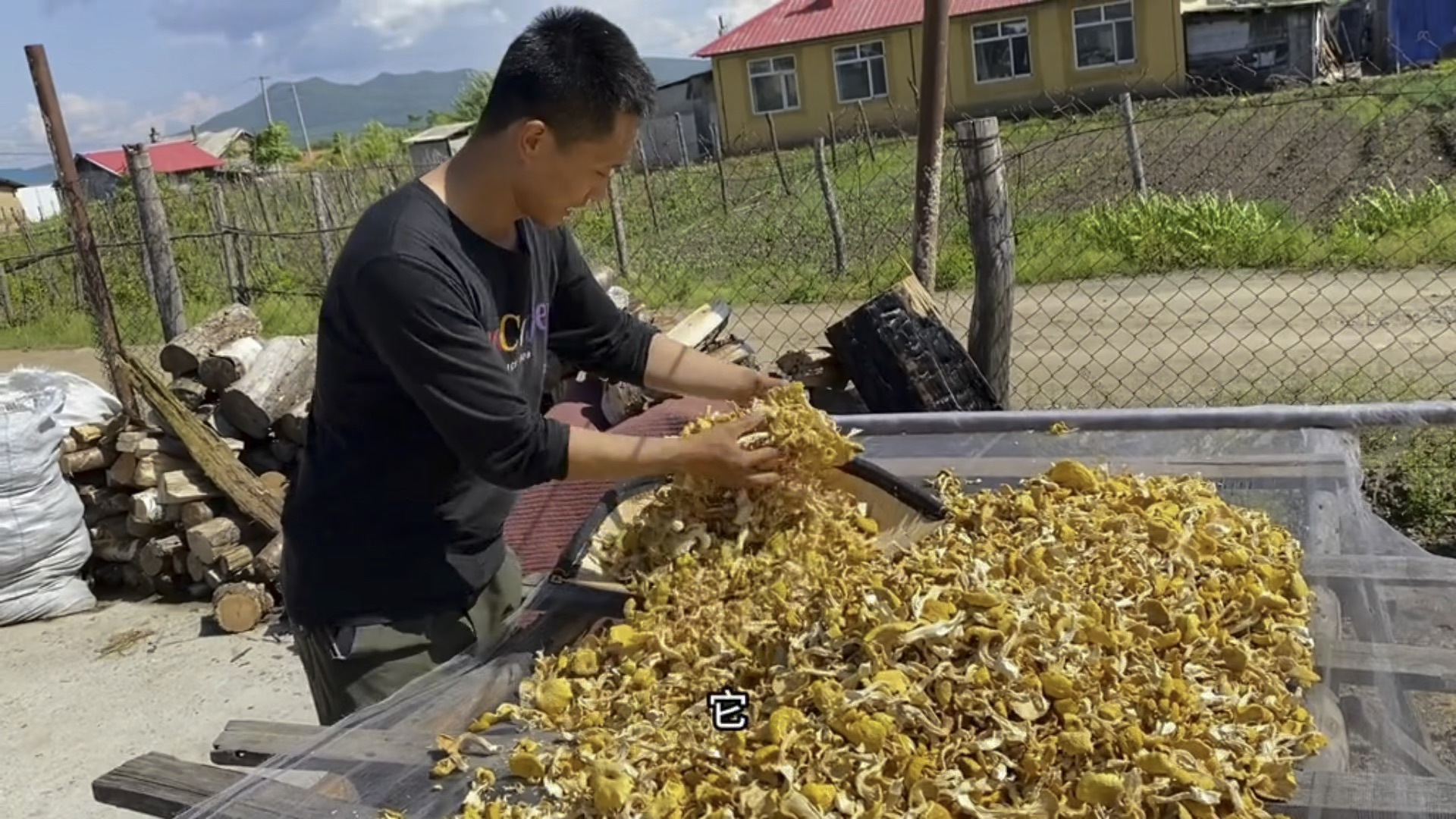 榆黄蘑的独特鲜味,为饺子和汤增添了别样的风味天地哔哩哔哩bilibili