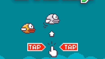 [图]flappy birds