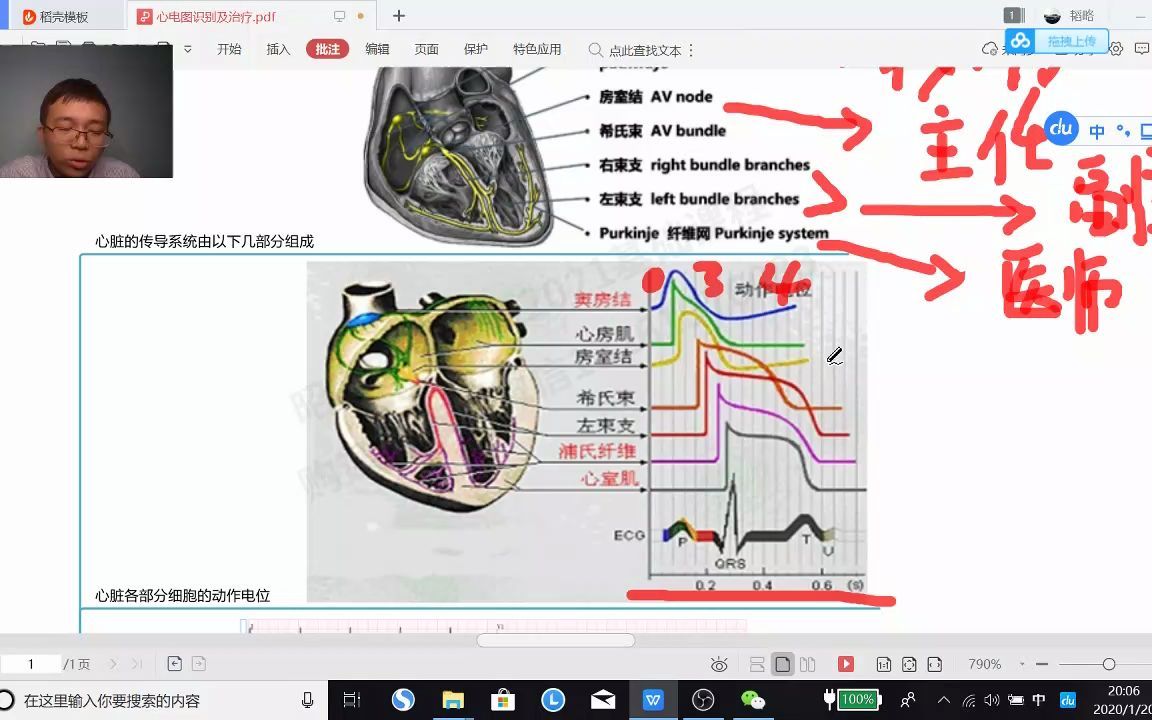 【昭昭考研西综精讲】内科唐子益心电图诊断哔哩哔哩bilibili