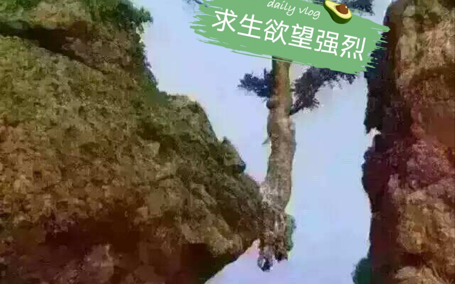 什么叫做绝处逢生啊