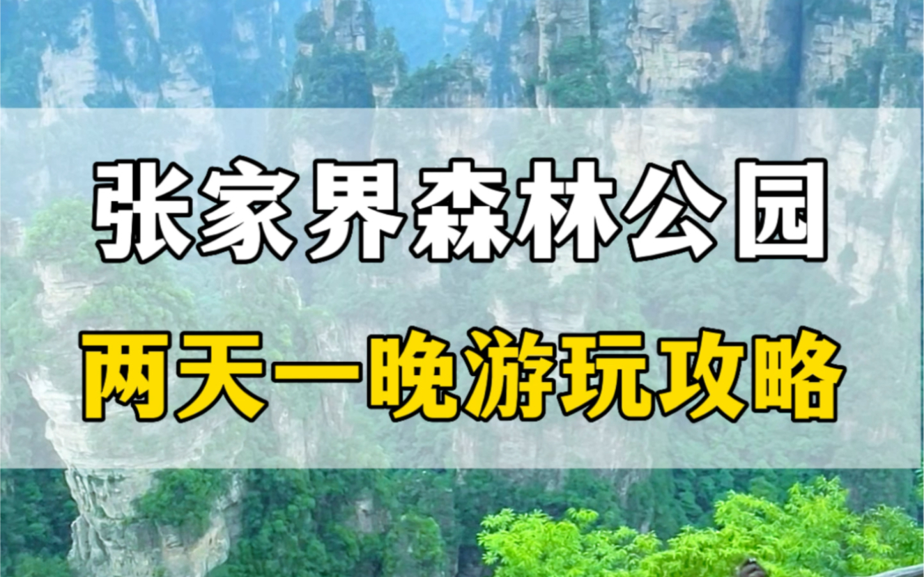 张家界国家森林公园两天一晚最强游玩攻略哔哩哔哩bilibili