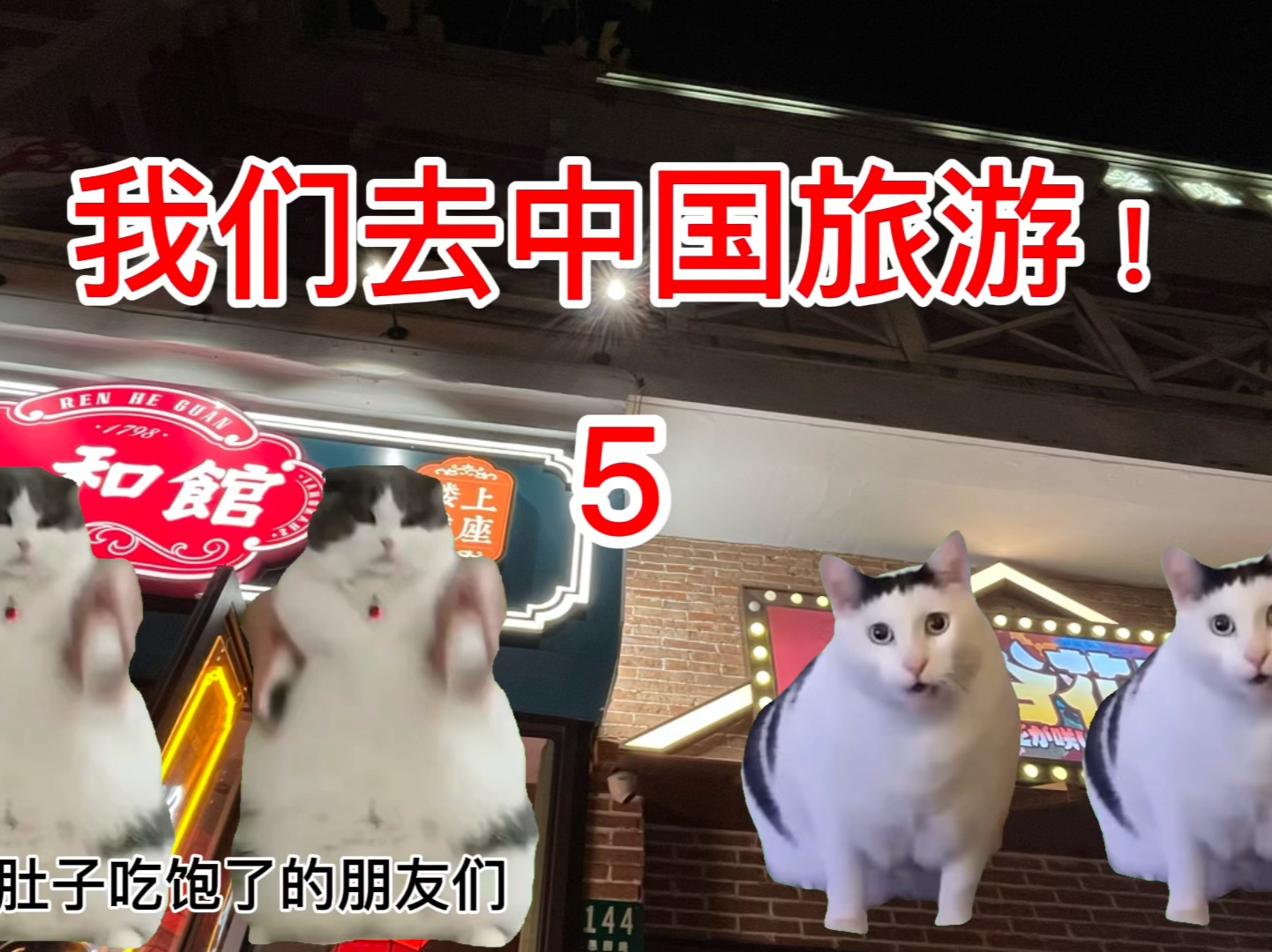 猫meme|𐟇ﰟ‡𕮐Š日本人第一次去中国旅游・上海2哔哩哔哩bilibili