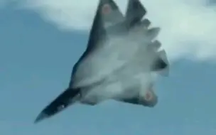 下载视频: Su-57的落叶飘and钟摆机动真的帅！