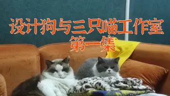 【设计老狗与三只喵工作室】设计老狗与三只喵设计工作室第一集（煲仔饭饭店）