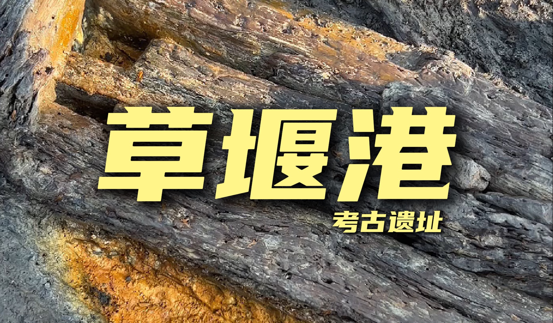 【江苏地域文明探源工程】兴化草堰港遗址知多少❓哔哩哔哩bilibili