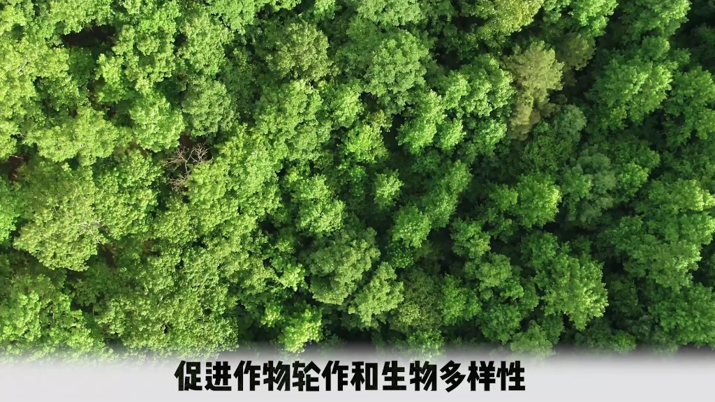 [图]土壤是万物生长的根基，也是我们获取食物的主要来源。如果我们不顾子孙后代的利益，消耗土壤的速度超过了土壤形成的速度，就无法避免重蹈历代人类社会文明衰落的覆辙。