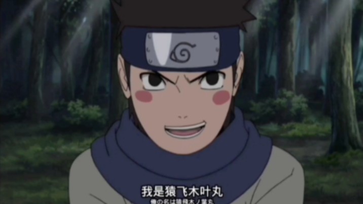 我是猿飞木叶丸,三代目的孙子,鸣人哥哥的爱徒,现在我
