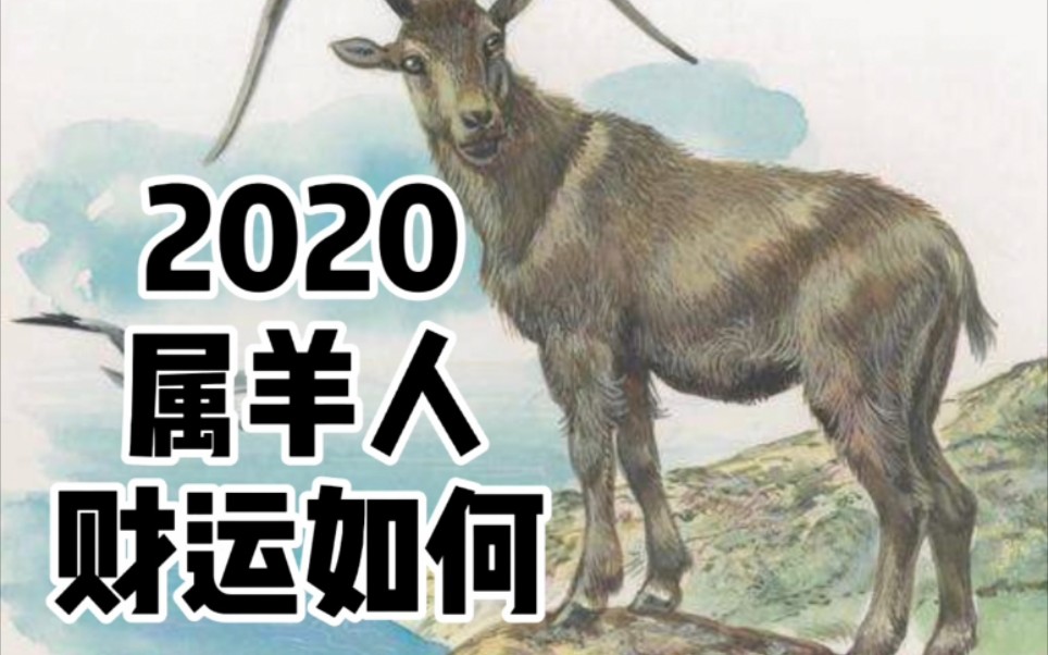 2020属羊人财运如何哔哩哔哩bilibili