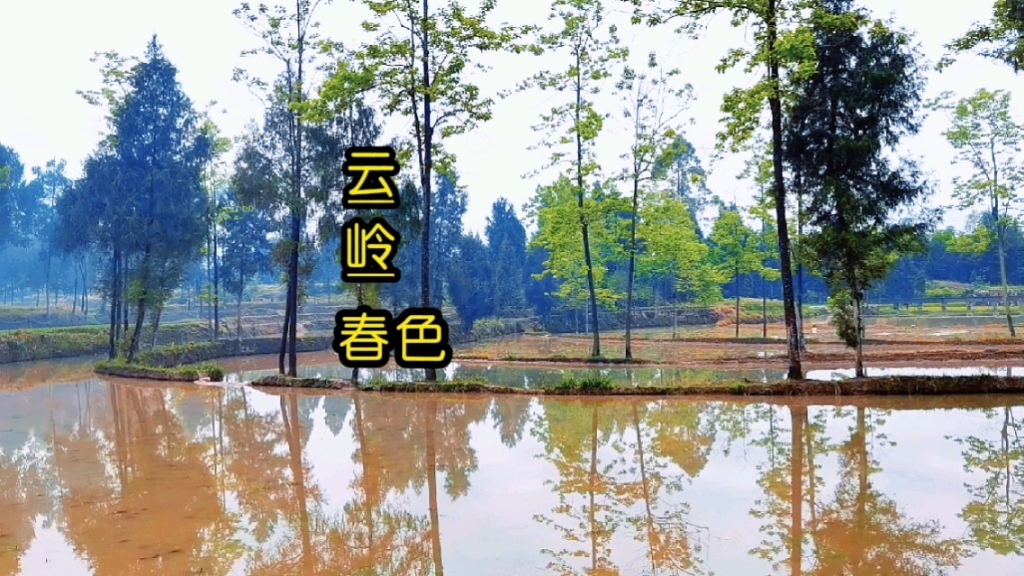 云岭村 这座小山村的稻田,太美了_哔哩哔哩_bilibili