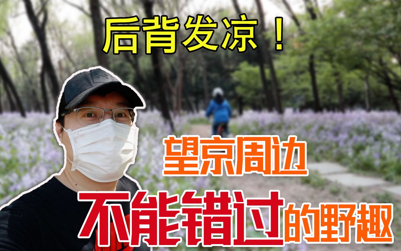 体验望京周边最具野趣的公园——黄草湾郊野公园 (新人首发,请多支持)哔哩哔哩bilibili