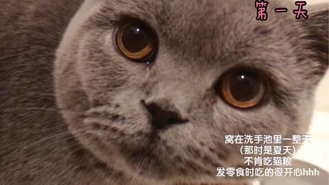 搜索 哔哩哔哩 つロ干杯 Bilibili
