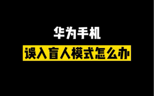 华为手机 误入盲人模式怎么办哔哩哔哩bilibili