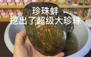 Descargar video: 挖珍珠蚌竟然有超级大珍珠！