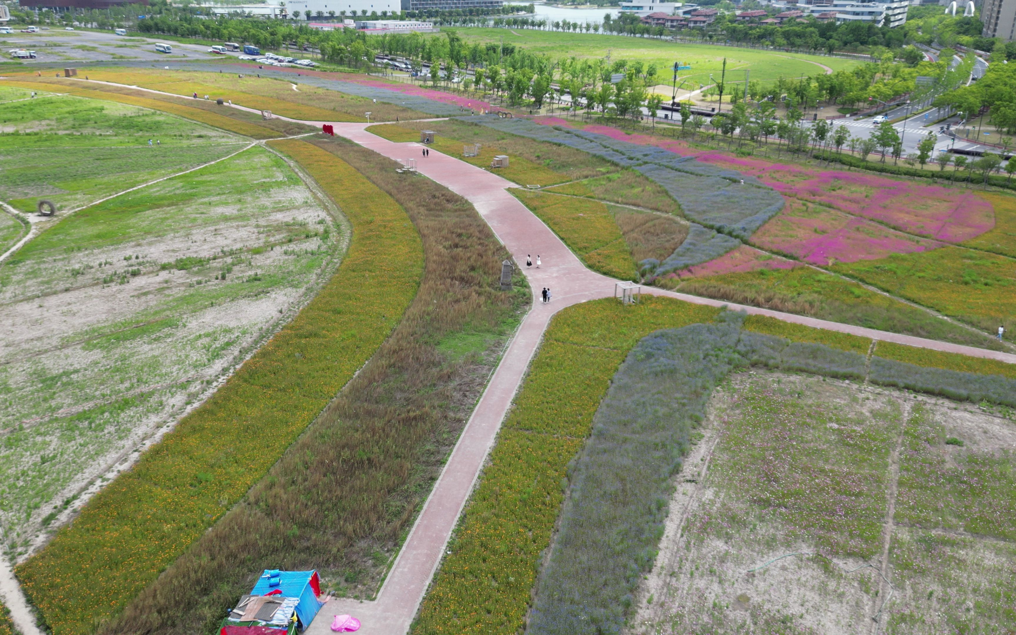 djimini3奉贤花海2