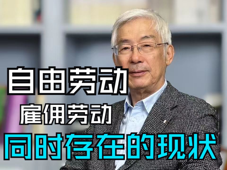 从就业到从业:各个行业充斥着雇佣劳动与自由劳动的影子哔哩哔哩bilibili