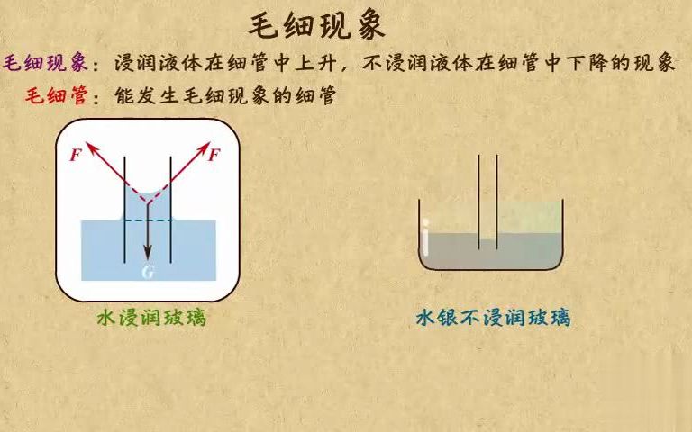 [图]高中物理| 高中物理动画第27章 固体液体和物态变化|06浸润液体在细管中上升的现象-毛细现象