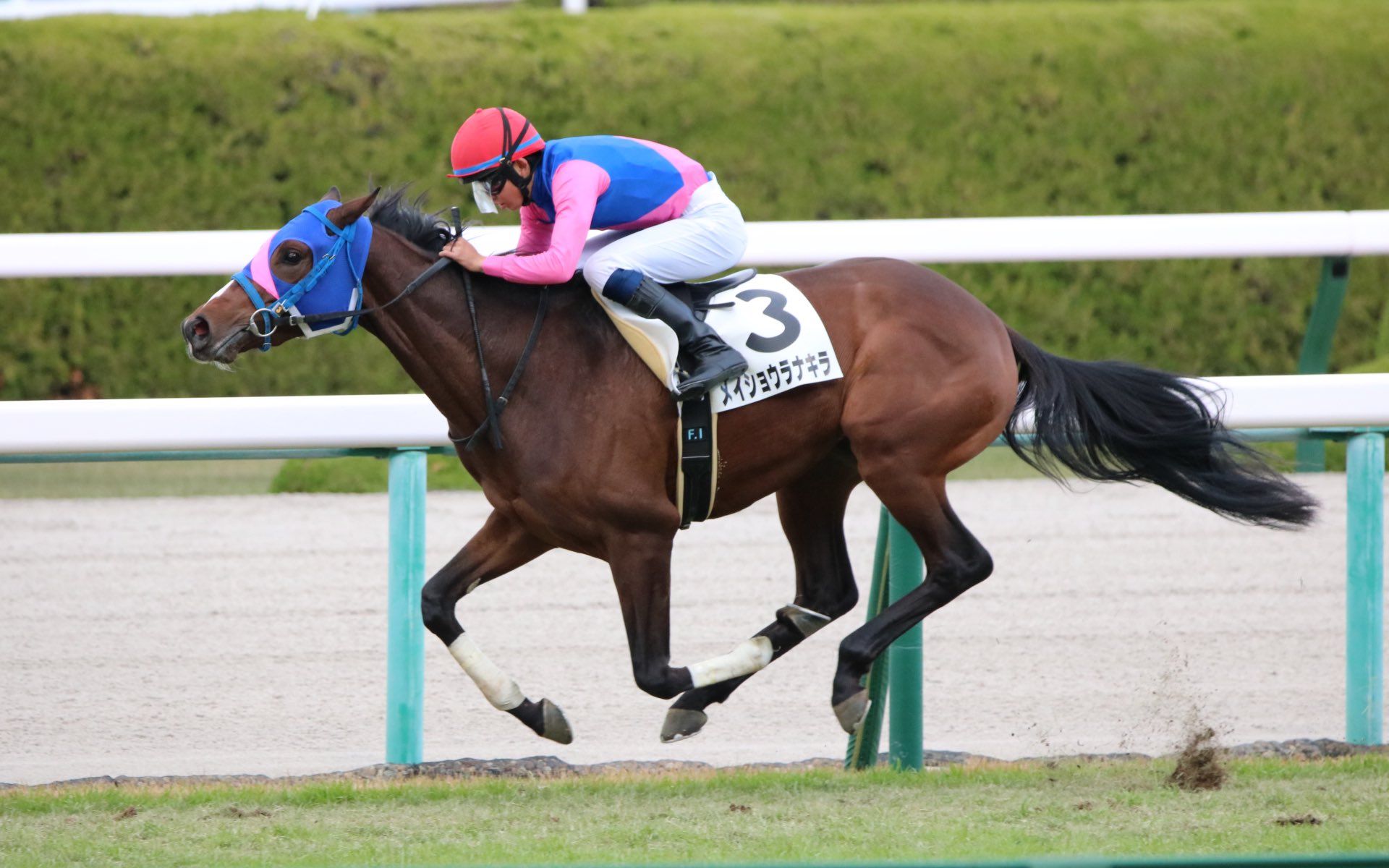 【日本赛马】11月28日 阪神6r 2岁新马 メイショウラナキラ(名将胜利)