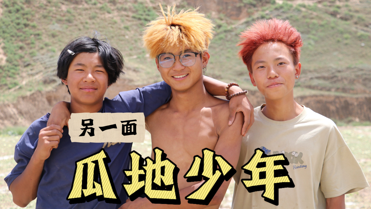 全网爆火的搬瓜少年，其实并不是真实的他们…海报