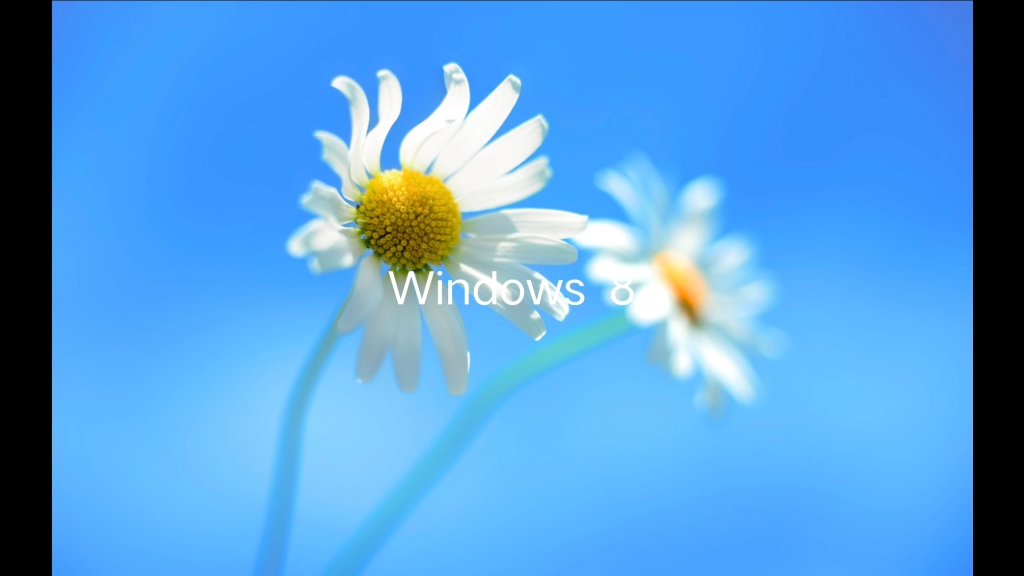 历代windows默认壁纸