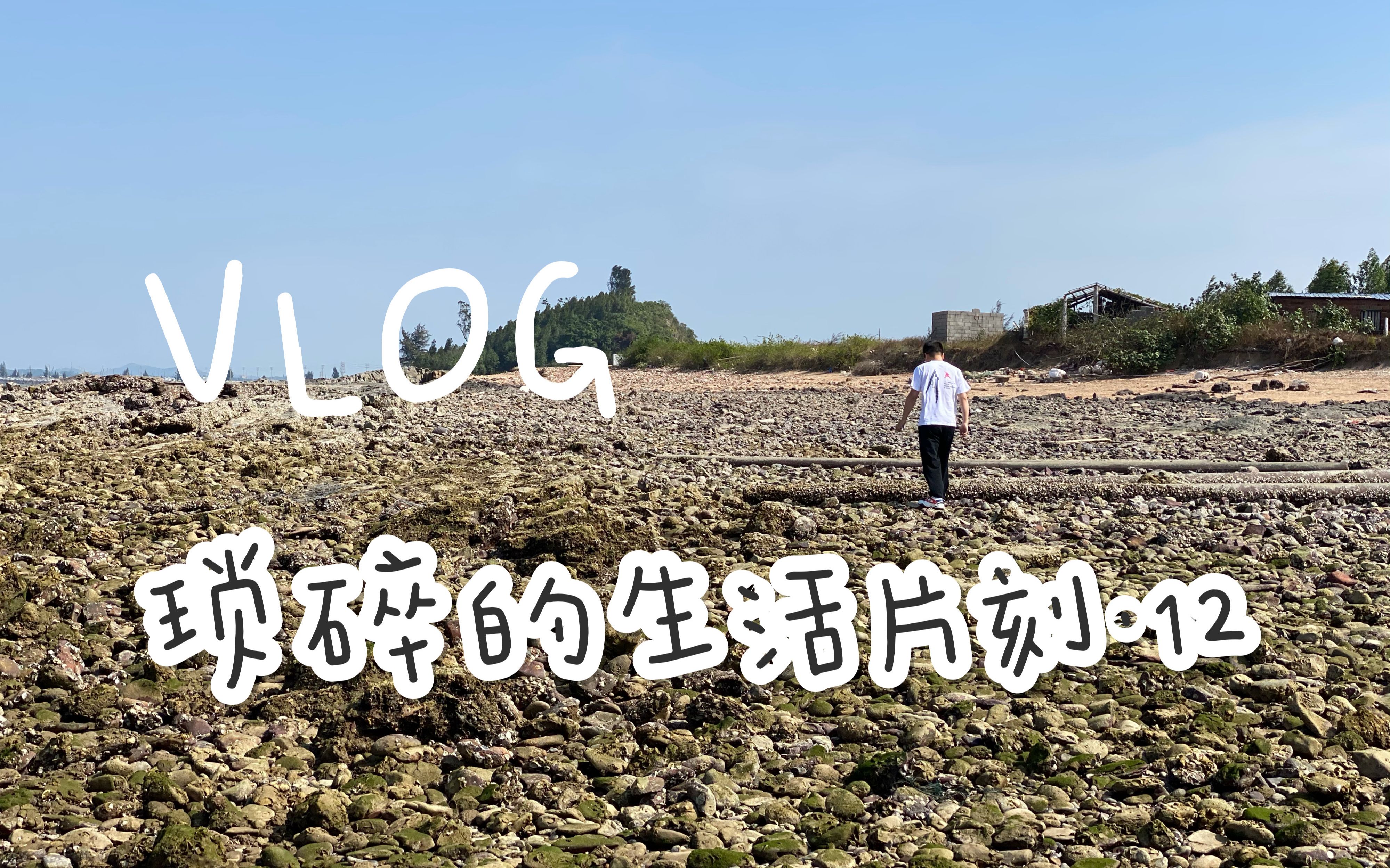 琐碎的生活片刻.12