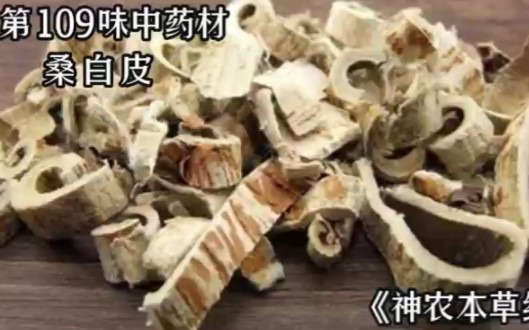 [图]#中医 今天介绍第109味中药材#传承中医文化 桑白皮#中草药