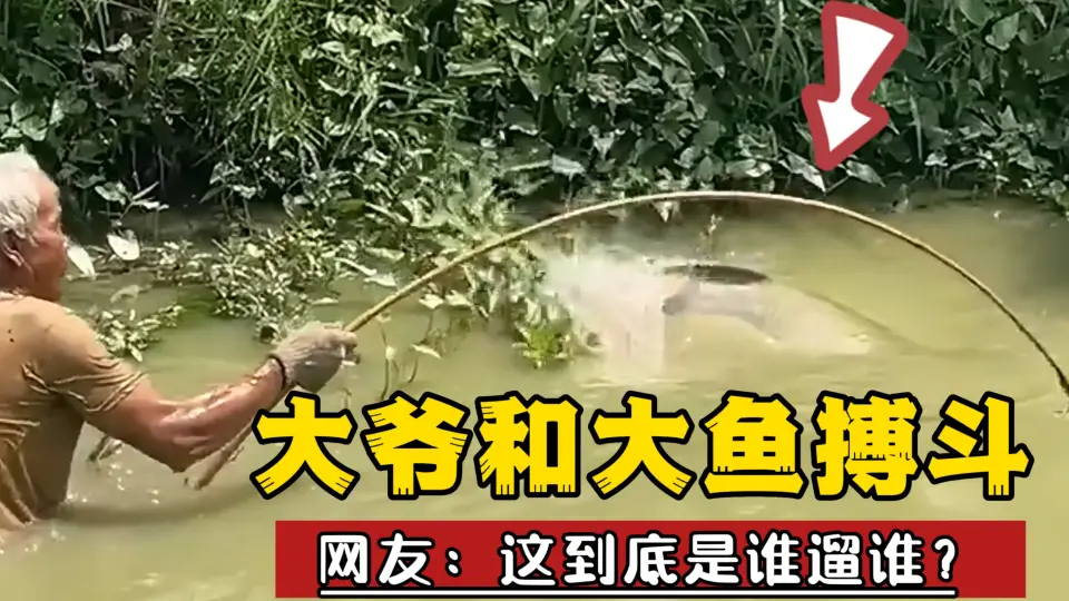 钓鱼的鱼竿有什么区别？该怎么选鱼竿？_哔哩哔哩_bilibili