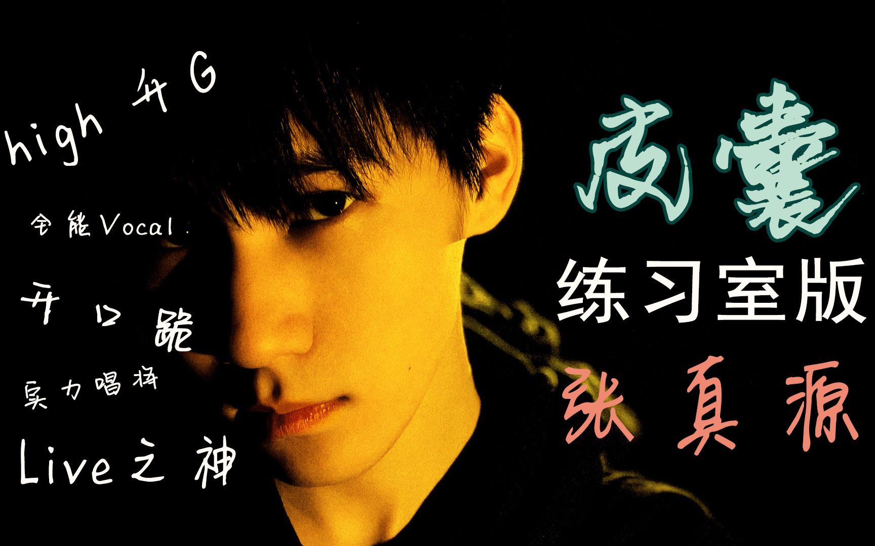 张真源 皮囊练习室版_哔哩哔哩_bilibili