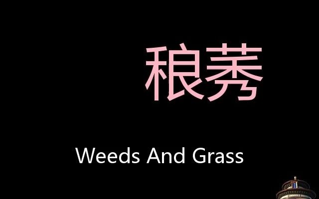 稂莠 Chinese Pronunciation weeds and grass哔哩哔哩bilibili