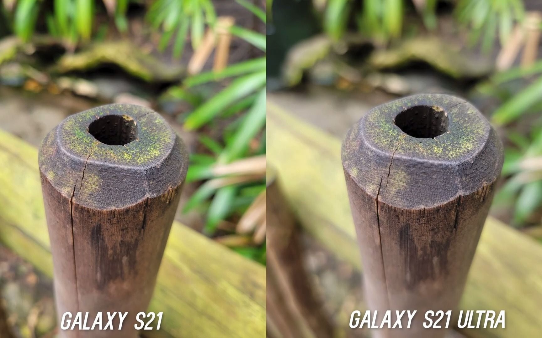 【手机测评】galaxy s21 ultra vs galaxy s21 拍摄效果对比