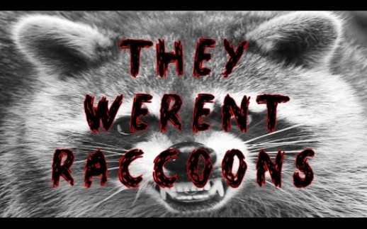 【creepypastajr】creepypasta"they werent raccoons"