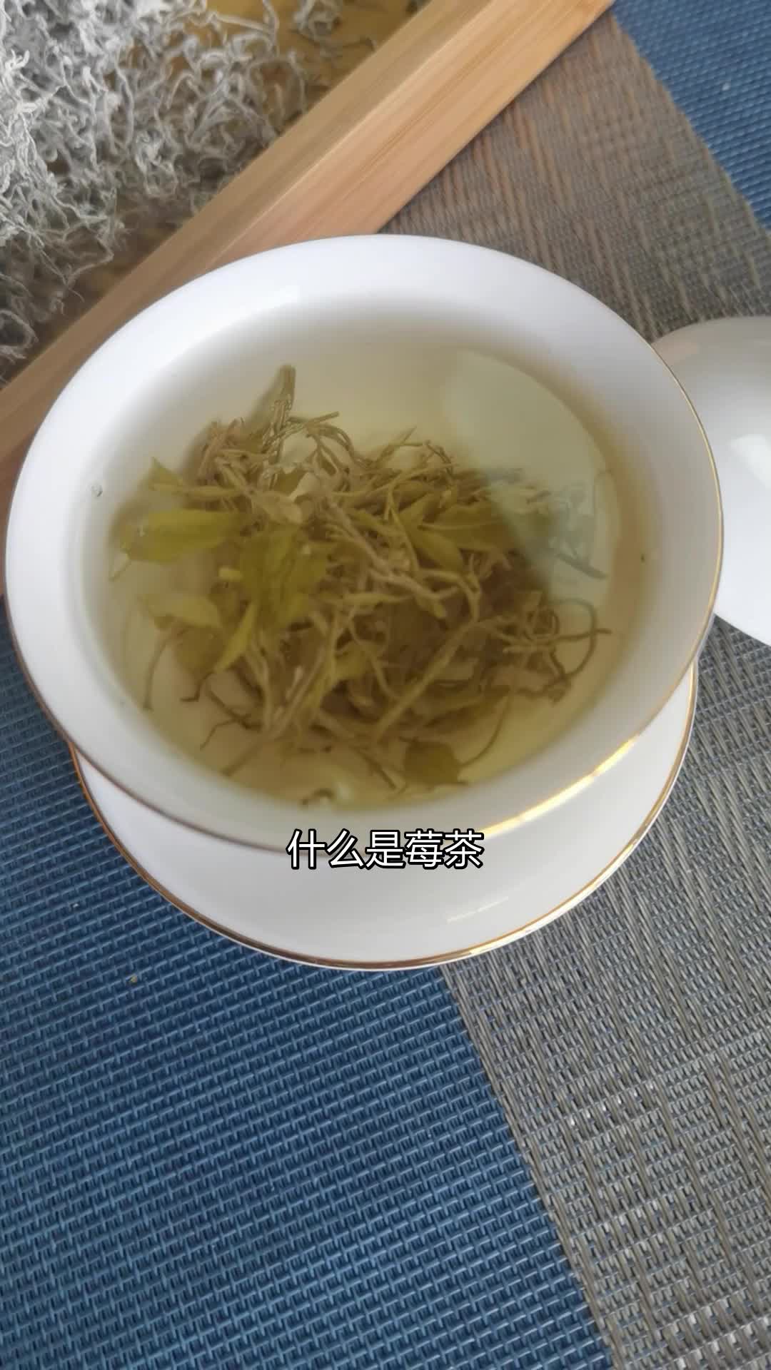 莓茶是一种小叶种显齿蛇葡萄植物,雅名青霜古藤茶,药饮两用,是哔哩哔哩bilibili