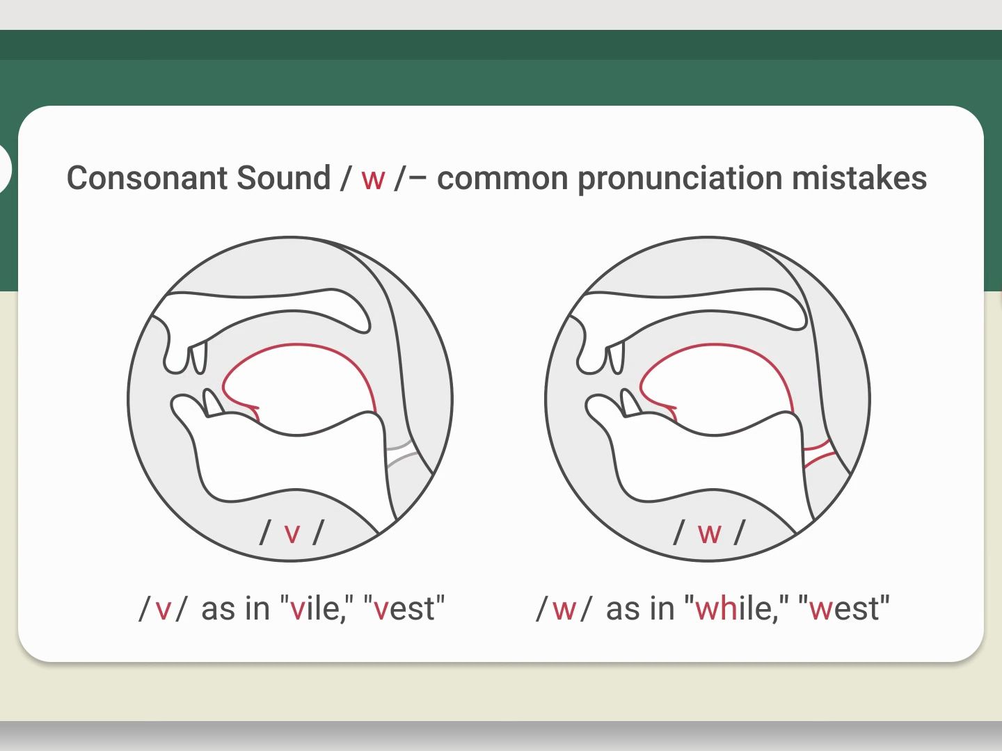 48. 辅音发音  w  如 'way' 中的发音  美式英语发音Consonant Sound  w  as in 'way' – American哔哩哔哩bilibili