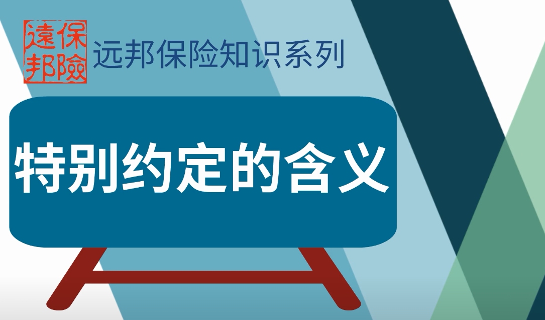 国内货物运输保险单中的特别约定的含义哔哩哔哩bilibili