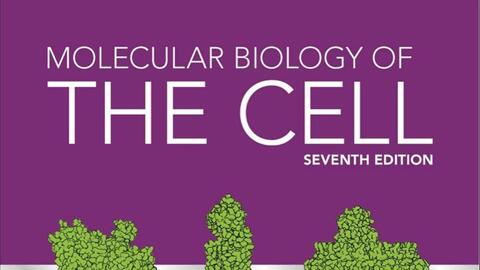 Day14 (Page72-74)一起完成Molecular biology of the cell 第七版最新