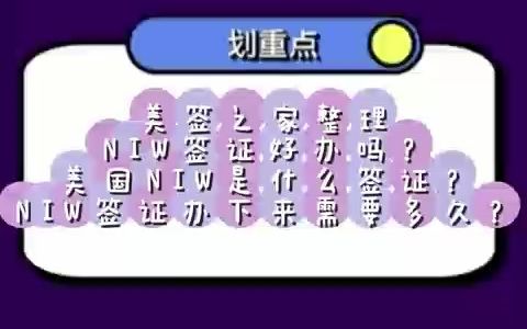 美国NIW是什么签证?NIW签证好办吗?NIW签证办下来需要多久?哔哩哔哩bilibili