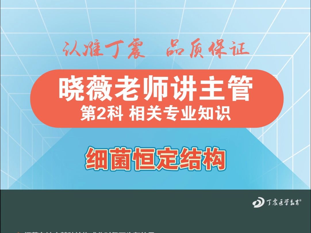 【丁震老师讲主管】细菌恒定结构