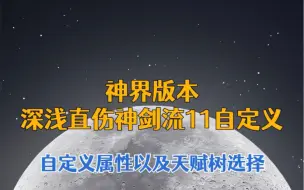 Download Video: 神界版本11自定义深浅直伤神剑流派装备搭配